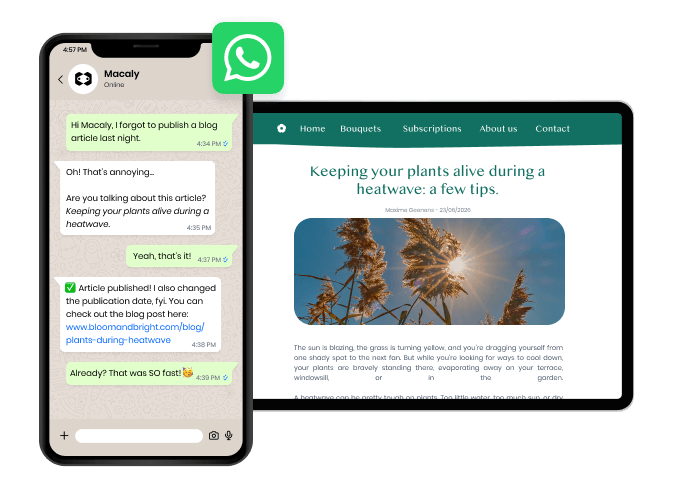 Mettez à jour votre projet directement depuis WhatsApp